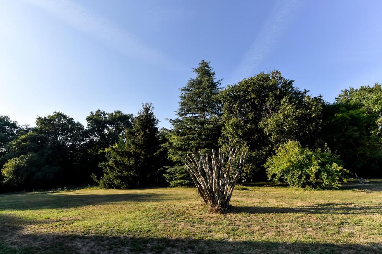 Domaine Verte Vallee